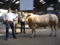 Veilingtopper BAC Faldo du Moulin met fokker Hans Spekenbrink (m) en koper Etienne Verhaert (r).