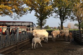 aankomst bij de familie Ruessink in Toldijk