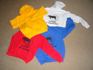 kleurrijke kindersweatshirts met Blondelogo