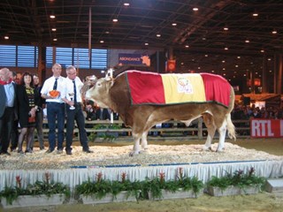 Disco v.Ronaldo met Ton Hartman en Peter Thissen op het podium