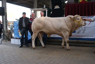 BAC Bakersfield Falco met de kopers gebr. Lamers uit Groesbeek en fokker Wim Bakker  (midden).