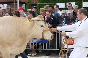 veel inzenders voor Enter dit jaar