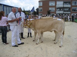 Evita-B van de familie Busch, kampioen Enter 2010