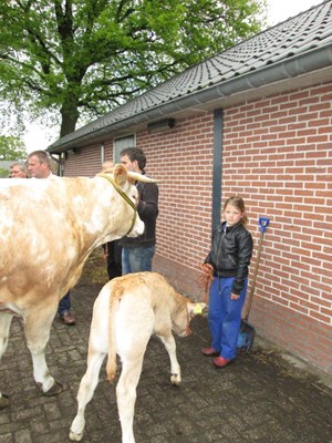 Stephanie Blaauw laat zien hoe ze het kalf heeft beleert