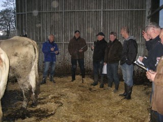 volop discussie na het scoren van de dieren