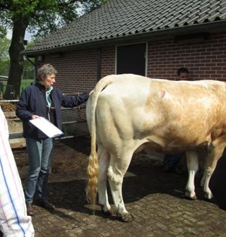 de inspecteur aan het werk