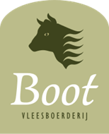 logo-boot.2888c354