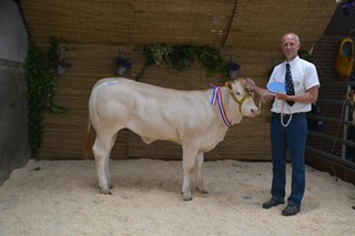 Sue Reserve Kampioen tot 1 jaar