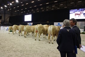 agriflanders 2019