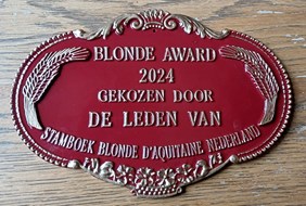 Blonde Award 2024