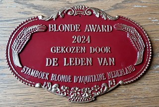 Blonde Award 2024